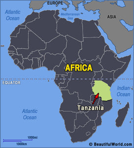 Tanzanian Peaberry - coffeeshop247.com