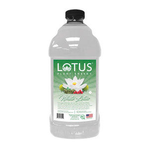 lotus energy - coffeeshop247.com